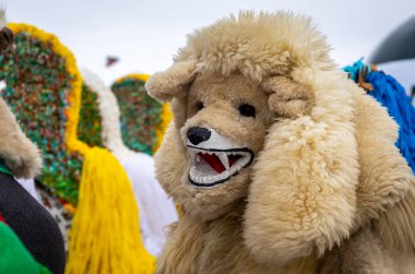Milowka, Poland, 21.01.2023. Gody Zywieckie - traditional winter parade of 'Dziady', folk custom in Zywiec region, man dressed in traditional costume of a bear.