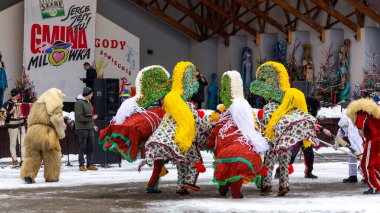 Milowka, Poland, 21.01.2023. Gody Zywieckie - traditional winter parade of 'Dziady', folk custom in Zywiec region, men dressed in traditional horse costumes, dancing on a stage.