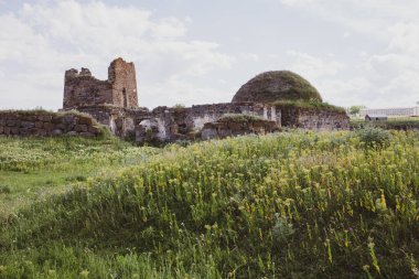 Akhalkalaki şatosu, ortaçağ camisi ve yeşil yosunlarla kaplı kuleyle harabe..