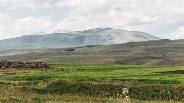 佐治亚州Samtskhejavakheti地区的Javakheti高原景观 在Javakheti和Samsari山脉有古老的休眠火山 还有电塔 可在夏季看到 — 图库照片