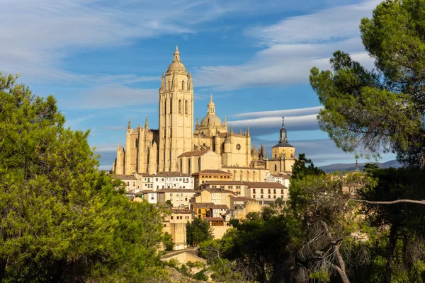 Segovia Katedrála Pohled Mezi Zelenými Stromy Obklopen Středověkou Architekturou Čočkové Royalty Free Stock Obrázky