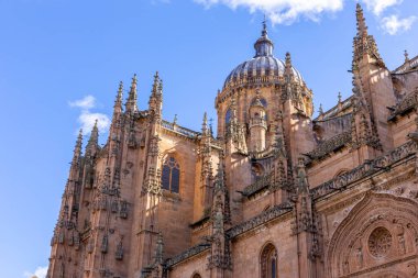 Yeni Salamanca Katedrali (Katedral Nueva) gökyüzüne karşı kubbeler ve kubbeler, gotik ve barok mimari ile dekoratif cephe.