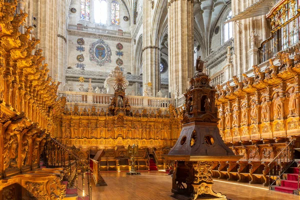 Salamanca Spagna Banchi Corali Riccamente Decorati Nella Nuova Cattedrale Catedral — Foto Stock