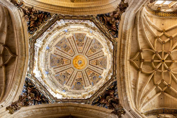 Salamanque Espagne Dôme Baroque Richement Décoté Voûtes Pierre Dans Nouvelle — Photo