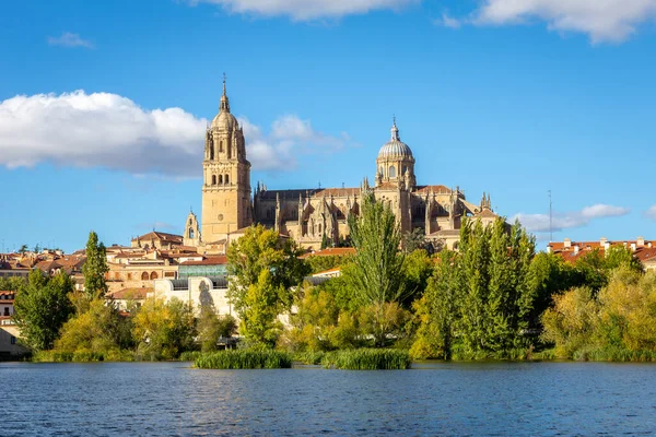 Yeni Salamanca Katedrali (Katedral Nueva) ve Katedral Vieja de Santa Maria de la Sede de Salamanca binaları, yeşil ağaçlar ve Tormes nehri ile yaz manzarası, mavi gökyüzü.