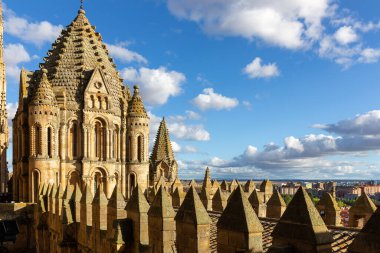 Katedral Vieja de Santa Maria de la Sede Salamanca dekoratif kuleleri, kubbesi ve çatısı kule, gotik ve barok mimarisi, mavi gökyüzüne karşı, İspanya.