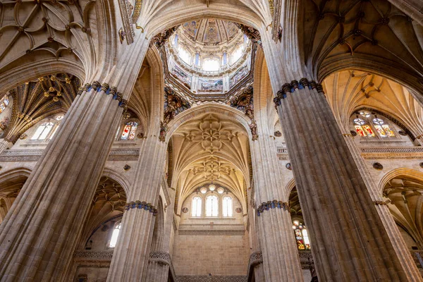 Salamanca Spagna Nuova Cattedrale Riccamente Decorata Catedral Nueva Salamanca Vista — Foto Stock