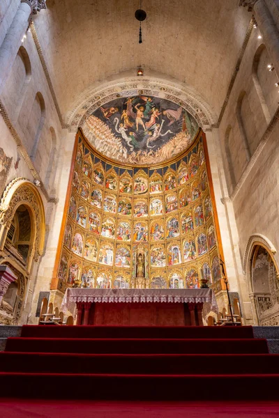 Salamanca Spagna Pala Altare Principale Della Vecchia Cattedrale Catedral Vieja — Foto Stock