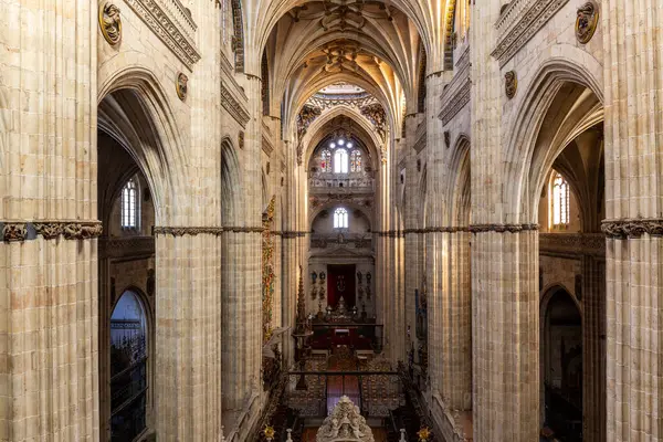 Salamanka Hiszpania Catedral Vieja Santa Maria Sede Salamanca Stara Katedra — Zdjęcie stockowe