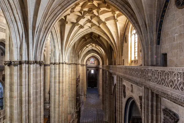 Salamanca Spagna Catedral Vieja Santa Maria Sede Salamanca Vecchia Cattedrale — Foto Stock