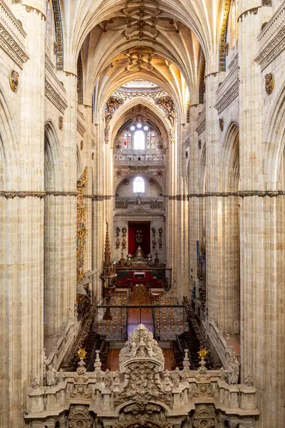 Salamanka Hiszpania Catedral Vieja Santa Maria Sede Salamanca Stara Katedra — Zdjęcie stockowe