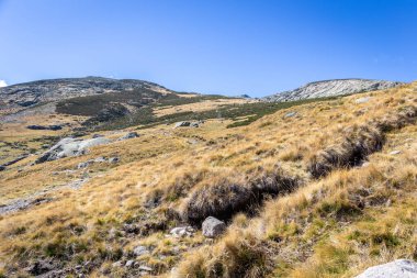 Sonbaharda Sierra de Gredos dağları, Plataforma de Gredos 'tan Laguna Grande de Gredos gölüne uzanan patika, kuru, çorak bitki örtüsü, İspanya.