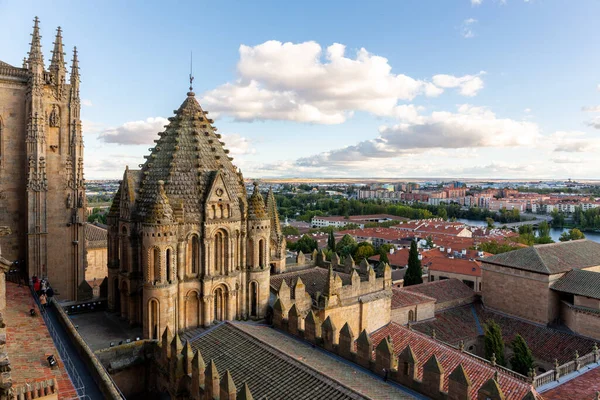 Katedral Vieja de Santa Maria de la Sede Salamanca dekoratif kuleler, kubbeli çatı, arka planda Salamanca şehir manzarası, katedral kulesi çatısı manzarası.