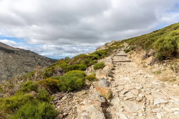 Sierra de Gredos dağlarındaki Plataforma de Gredos Gölü 'nden Laguna Grande Gredos Gölü' ne giden taş yürüyüş yolu, dağ çam ağaçları, sonbahar, İspanya.