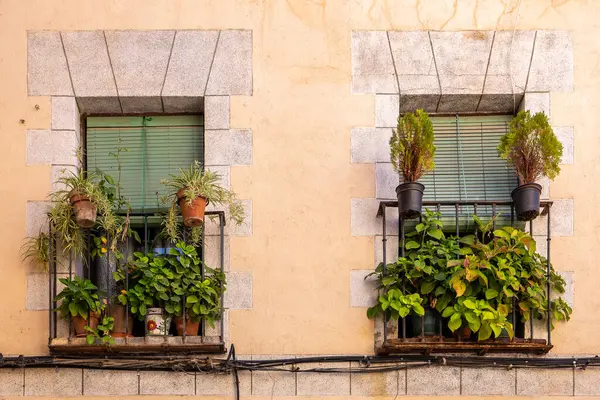 Two stone vintage windows with balconies with flower pots, plants and stone frames in traditional Spanish residential building in Toledo, Spain.