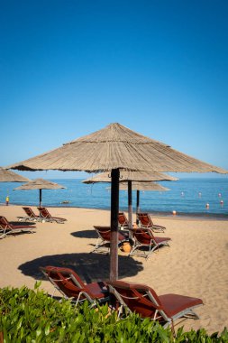 Fujairah 'daki kumsal, Birleşik Arap Emirlikleri, şemsiyeleri ve güneşliği, deniz manzarası ve mavi gökyüzü, hiç insan yok..