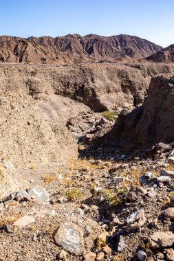 Birleşik Arap Emirlikleri 'ndeki Hajar Dağları' ndaki dik uçurumlarla kurak nehir yatağı (wadi), çorak çöl manzarası, su yok.