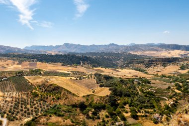 Endülüs manzarası Ronda, İspanya yakınlarındaki tarlalar ve üzüm bağları güneşli yaz günlerinde, arka planda dağlar.