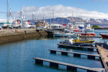 Reykjavik, İzlanda, 14.05.22. Renkli Balina Reykjavik Limanı 'na yanaşan turistik gemileri, kaburgaları, balıkçı tekneleri ve motorbotları izliyor..