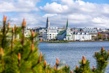 Reykjavik, İzlanda, 14.05.22. Frikirkjan i Reykjavik Luteryan Kilisesi Tjornin Gölü kıyısında öndeki çam ağaçları arasında görülen Hallgrimskirkja kilise çan kulesi arka planda..