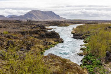 Thjorsardalur valley, South Iceland, landscape with white glacial wild river, volcanic rock formations overgrown with moss and grass and mountains in the background. clipart