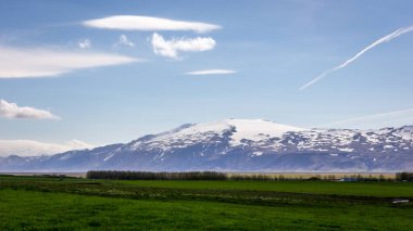 Eyjafjallajokull ice cap volcano and glacier mountain view seen through the green trees in Thorsmork valley, Iceland. clipart