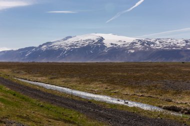 Eyjafjallajokull buz pateni volkanı ve İzlanda 'nın Thorsmork Vadisi' ndeki yeşil ağaçların arasından görünen buzul dağı manzarası.