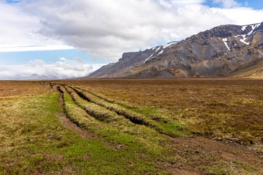 Güney İzlanda 'daki Thorsmork Vadisi' nin dağ manzarası derin oyukları olan toprak yol, yeşil bitki örtüsü..