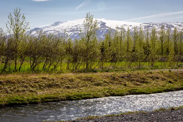 Eyjafjallajkull ice cap volcano and glacier mountain view seen through the green trees by Markarfljot river in Thorsmork valley, Iceland.