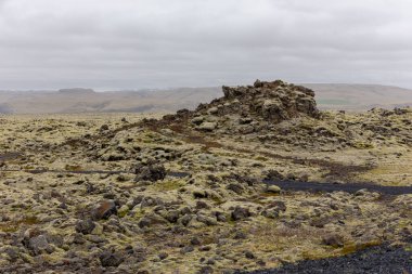 Güney İzlanda 'daki Eldhraun Lava Sahası (Mossy Lav Fields), yeşil yünlü yosun yosunlarıyla kaplı donmuş bazaltik lav.