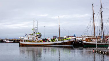 Husavik, İzlanda, 22.05.22. Husavik limanında turistlerle birlikte 