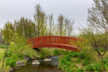 Kırmızı ahşap köprü Jeotermal Japon Balığı Göleti (Kaldbakur göleti) üzerinde sıcak kaynaklar Husavik, İzlanda 'nın güneyinde yemyeşil bitki örtüsü ve ağaçlarla çevrili.