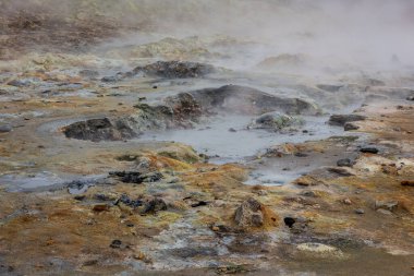 Kuzey İzlanda 'nın Hver, Myvatn Jeotermal Bölgesi' nde kaynamış ve buharlaşmış gri çamur kapları ve turuncu sülfür toprağı..