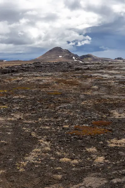 İzlanda, Myvatn Jeotermal Bölgesi 'ndeki Leirhnjukur volkanik manzarası krater ve siyah lav tarlaları yosun ile kaplıdır..