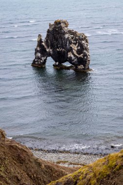 Hvitserkur (Kuzeybatı İzlanda 'nın Trol' ü), Hunafloi Körfezi, İzlanda 'dan çıkan bazalt kaya yığını.