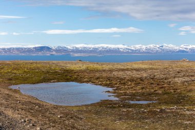Vatnsnes Yarımadası (Kuzey İzlanda), Midfjordur fiyortu ve karlı dağlar, küçük göl ve ön planda yosunlu tarlalar ile yer alır..