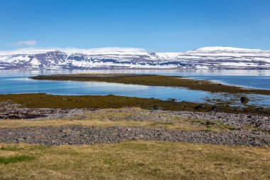 İzlanda 'nın batı yakasındaki kıyı şeridi. Karla kaplı dağlar, karaya vurmuş cebir ve mavi gökyüzü..