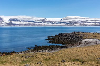 Batı fiyortları İzlanda kıyı şeridi kristal berrak su, karlı dağlar ve mavi gökyüzü.