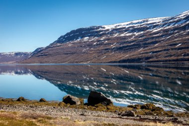 Batı fiyortları İzlanda kıyı şeridi. Karla kaplı dağlar kristal berrak sulara, mavi gökyüzüne yansıyor..
