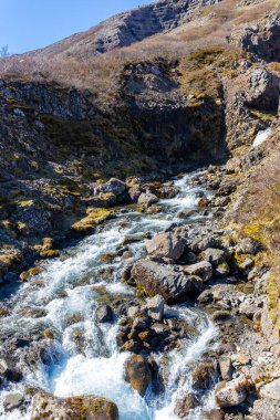 Wild river stream cascading from Valagil waterfall in Alftafjordur, Westfjords in Iceland, with rocky volcanic riverbed and rocks covered with moss, spring. clipart