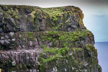 Westfjords, İzlanda 'daki Latrabjarg uçurumu, Avrupa' nın en büyük deniz kuşu uçurumu. Yuvalarında martılar, kuzey sümsük kuşları, gulyabaniler ve ustura gagaları var..
