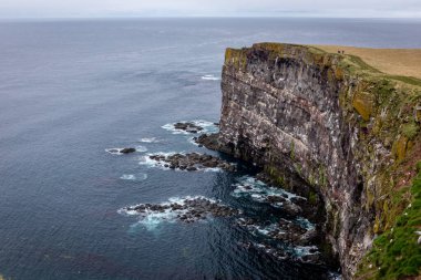 Westfjords, İzlanda 'daki Latrabjarg uçurumu, Avrupa' daki en büyük deniz kuşu uçurumu, Atlantik Okyanusu manzarası.