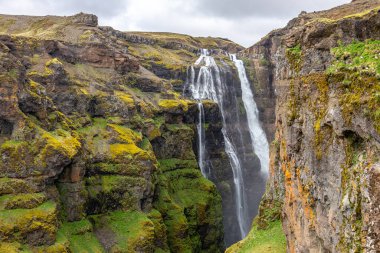 Hvalfjordur, Vesturland, İzlanda 'daki Glymur şelalesi, yosun ve yuvalanan kuşlarla kaplı yüksek şelaleler..