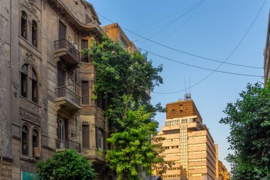 Mısır 'ın Kahire şehrinde eski bir neo-barok klasik bina cephesi dekoratif yardım pencereleri ve balkonları ile, sürünen bitkilerle kaplı cephe.