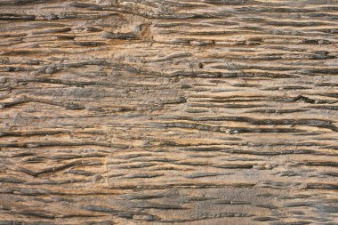 Bambu desen arka planı için