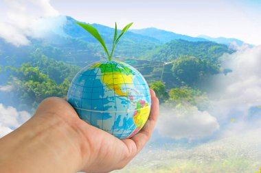 hands holding globe with plant growing and clound,sky and natural background.(Take care the world concept)