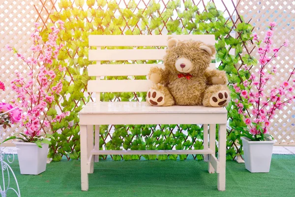 Teddy on chair relax on garden in evening light