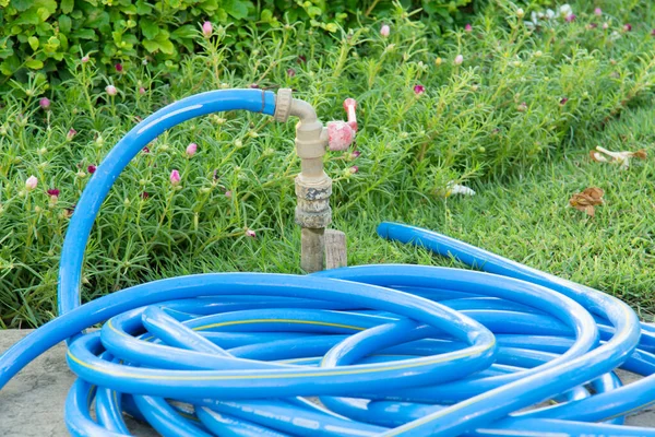 water tap with blue rubber tube on park