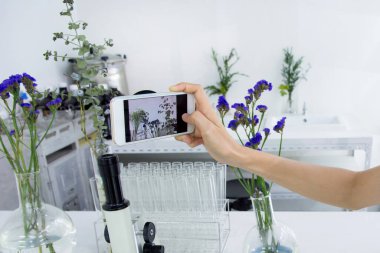 Kadın bitki dokusunun laboratuarında yapılan bitki yetiştirme deneylerinin fotoğrafını çekiyor..