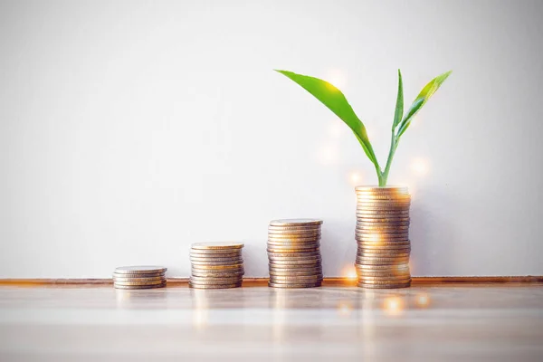 Plant on coin stack growing and Family icon over green bokeh background,investment and Save Money concept.